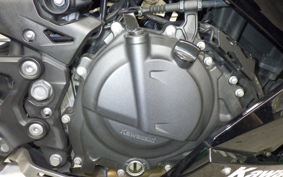 KAWASAKI NINJA 250 2018 EX250P