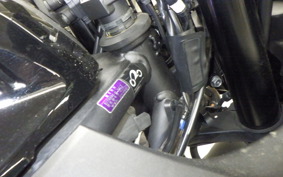 YAMAHA YZF-R25 2025 RG43J