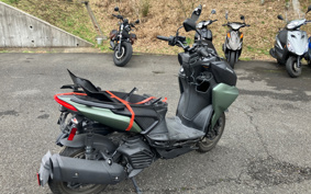 YAMAHA FORCE ABS SG79J