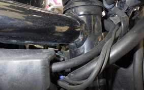 HONDA REBEL 1100 2022 SC83