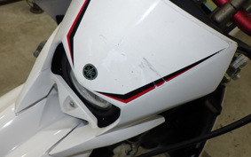 YAMAHA WR250X DG15J