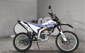 YAMAHA WR250R DG15J
