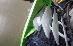 KAWASAKI KLX250 2025 LX250E