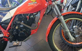 HONDA TLR200 MD09