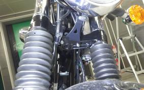 KAWASAKI W800 2024 EJ800E