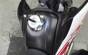 YAMAHA WR250X 2009 DG15J