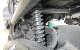 HONDA ZOOMER 2008 AF58