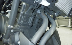 YAMAHA MT-25 RG43J