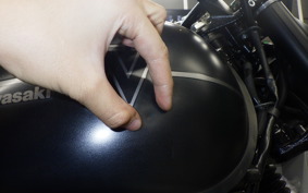 KAWASAKI W800 STREET 2019 EJ800B