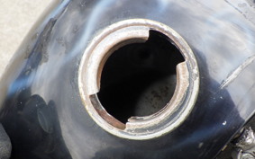 YAMAHA VIRAGO 250 TRIKE 3DM