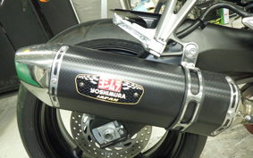 YAMAHA FZ1 FAZER 2015 RN21J