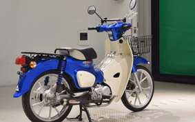 HONDA C110 SUPER CUB