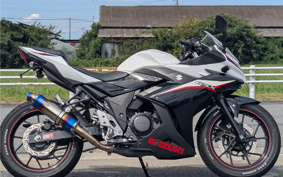 SUZUKI GSX250R DN11A