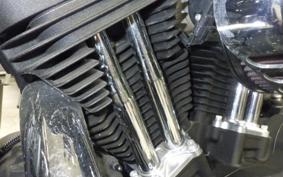 HARLEY XL1200NS 2019