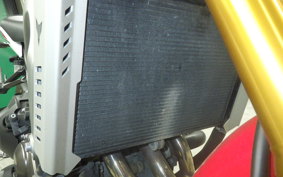 YAMAHA MT-09 2015 RN34J