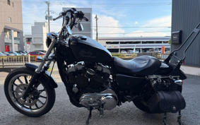 HARLEY XL1200L 2006 CX3