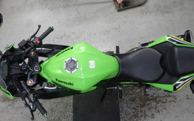 KAWASAKI NINJA 250 SL