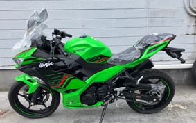 KAWASAKI NINJA 400 EX400L