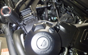 HARLEY X500 2023