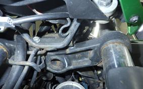 KAWASAKI Z250 SL 2016 BR250E