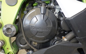 KAWASAKI NINJA 250 SL