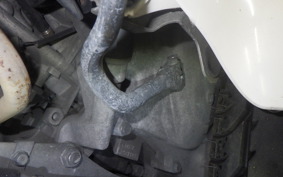 HONDA GYRO CANOPY 2024 TA03