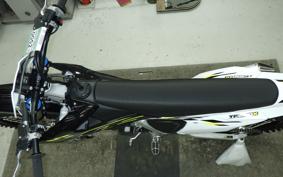 TRIUMPH TF250-X