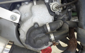 MALAGUTI PHANTOM MAX(ショナシ