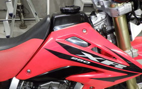 HONDA XR250 2019 MD30