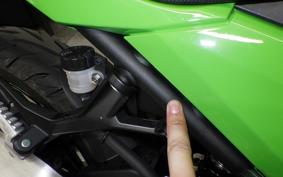 KAWASAKI NINJA 250 2 2022 EX250Y