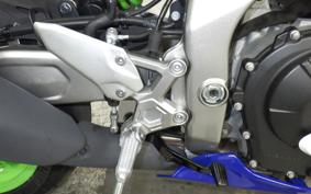 KAWASAKI ZX-4RR 2024 ZX400P