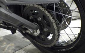 TRIUMPH TIGER 800 2019