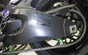 KAWASAKI NINJA ZX-6R A 2019 ZX636G
