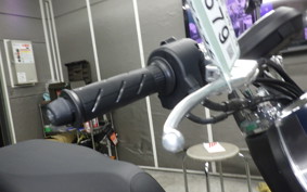 HONDA DUNK 2005 AF78
