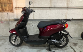 HONDA MANY CTOR AF79
