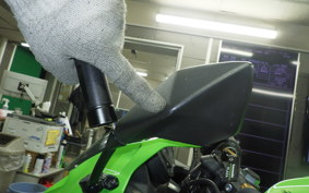 KAWASAKI ZX-25R 2004 ZX250E