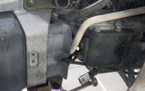 HONDA ZOOMER 1998 AF58