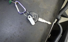 KAWASAKI VERSYS X250Aﾂｱﾗｰ 2005 LE250D