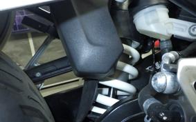 BMW R1250RS 2019