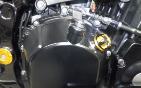 KAWASAKI Z900RS 2019 ZR900C