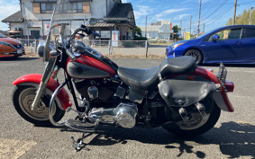 HARLEY FLSTF 2002 BMY