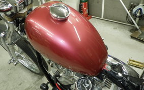 OTHER UNREGISTERED MODEL by BDS1340 1999
