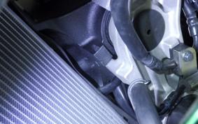 KAWASAKI NINJA 1000 SX 2024 ZXT02K