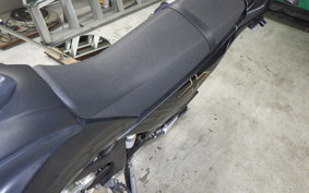 YAMAHA WR250X 2009 DG15J