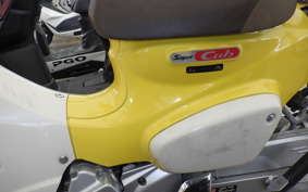 HONDA C110 SUPER CUB JA59