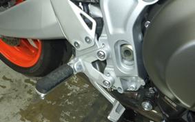 YAMAHA XSR900 GP 2026 RN96J