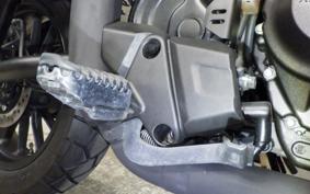 HONDA CL250-2 2025 MC57