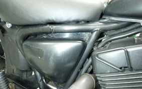 YAMAHA VIRAGO 250 2025 3DM
