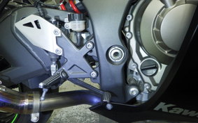 KAWASAKI ZX 10 NINJA R 2015