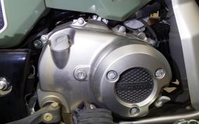 HONDA CT125 HUNTER CUB 2023 JA55